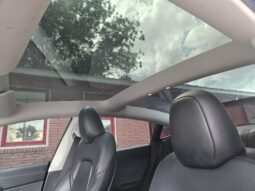 
										2023 TESLA MODEL 3 full									
